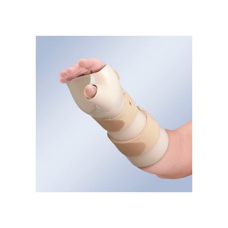 Orliman Férula Inmov Palmar Pulgar Derecha Om6101D T2 1Ud