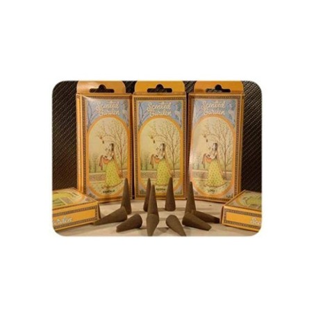 Radhe Shyam Scented Garden Incienso Abrecamino 12 Sticks