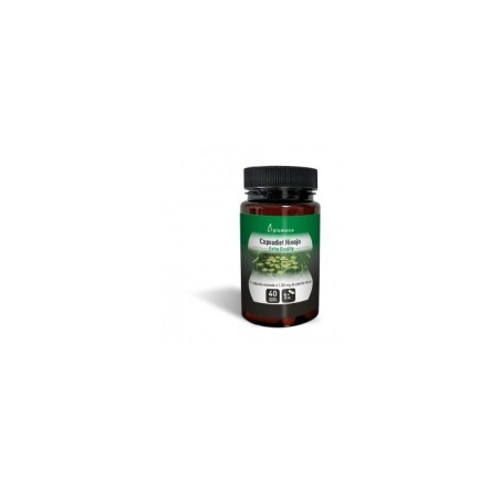 Plameca Capsudiet Hinojo 40Caps Vegs