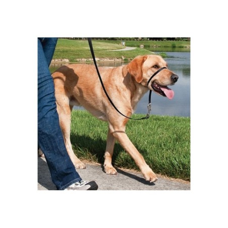 Easy Walk Collar De Manejo Para Perros   Negro Pequeño
