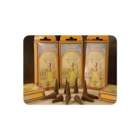 Radhe Shyam Musk Cono Incienso Scented Garden 1Ud